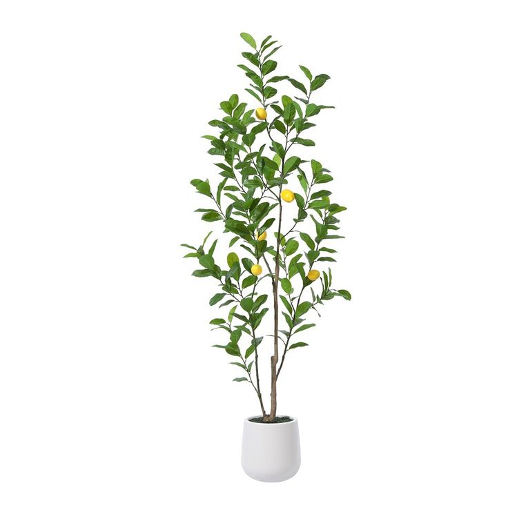 Add a touch of nature to your indoor space with…