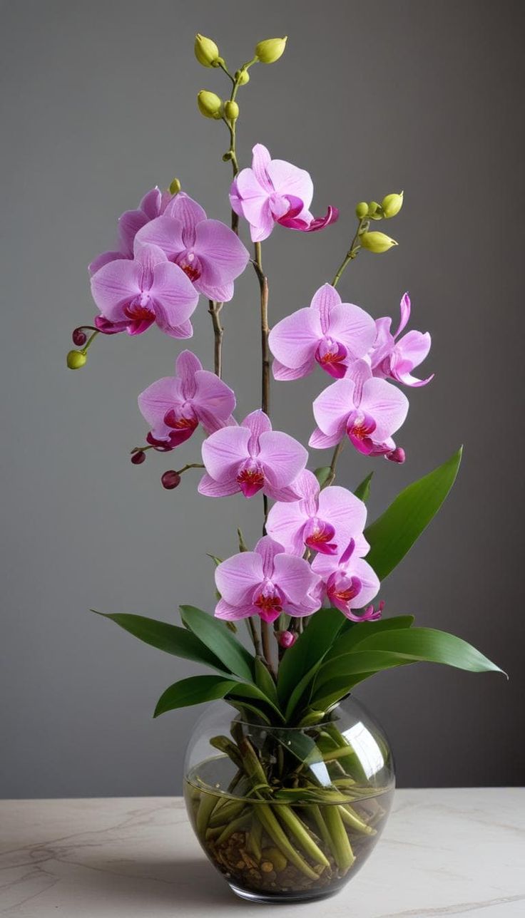 Want More Blooms_ Here’s the Best Way to Prune…
